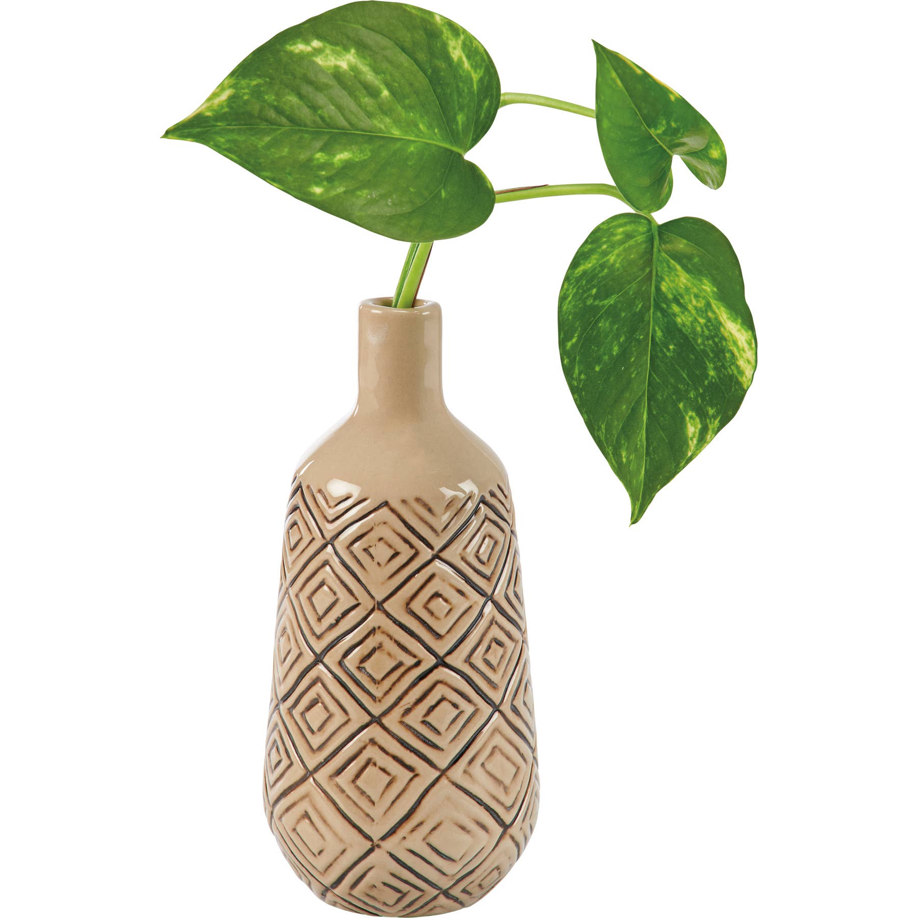 Shop Decor