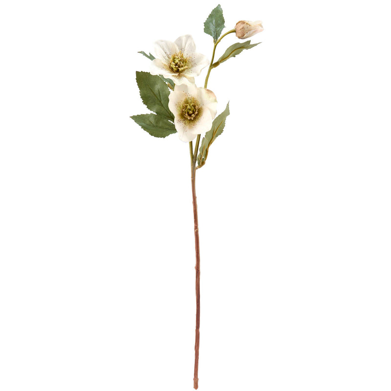 White Hellebore Floral Pick