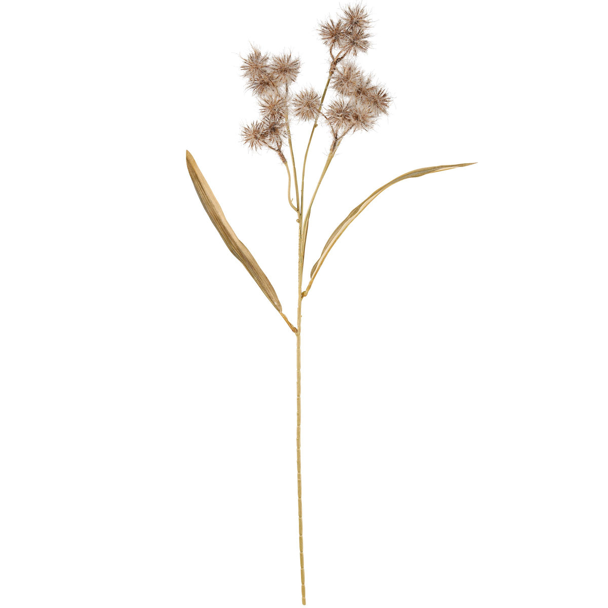 Black Allium Floral Pick