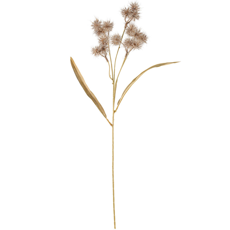 Black Allium Floral Pick