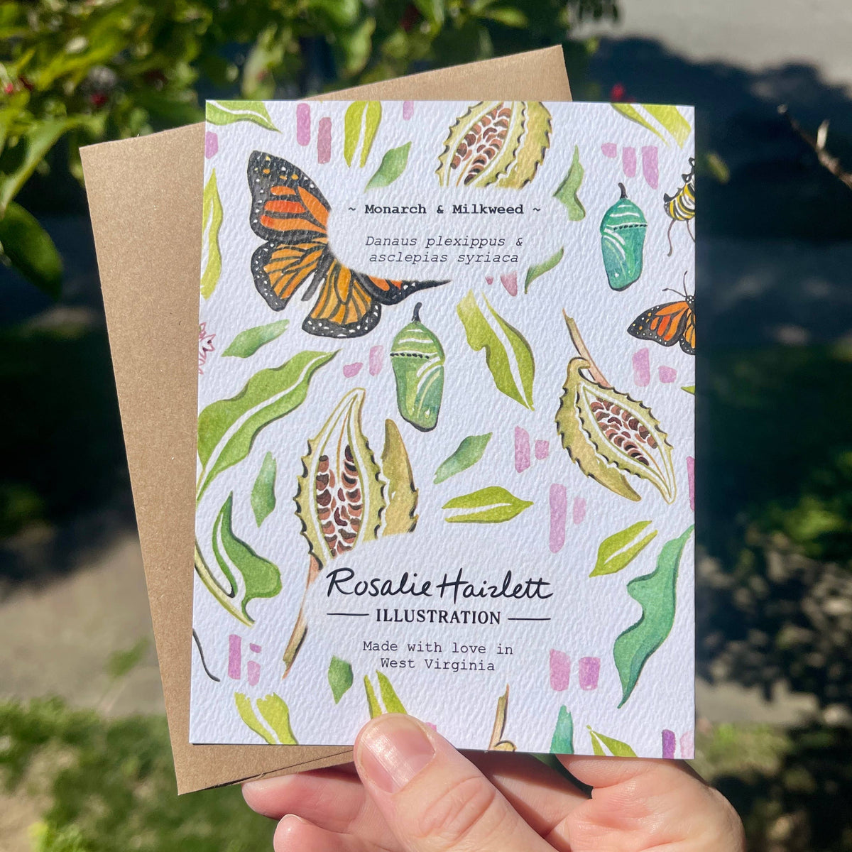 Monarch & Milkweed Birthday Card