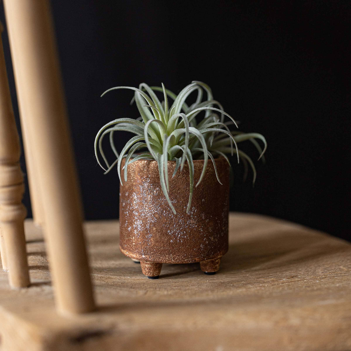 Griffin Rustic Matte Rust Footed Garden Ceramic Planter Pot