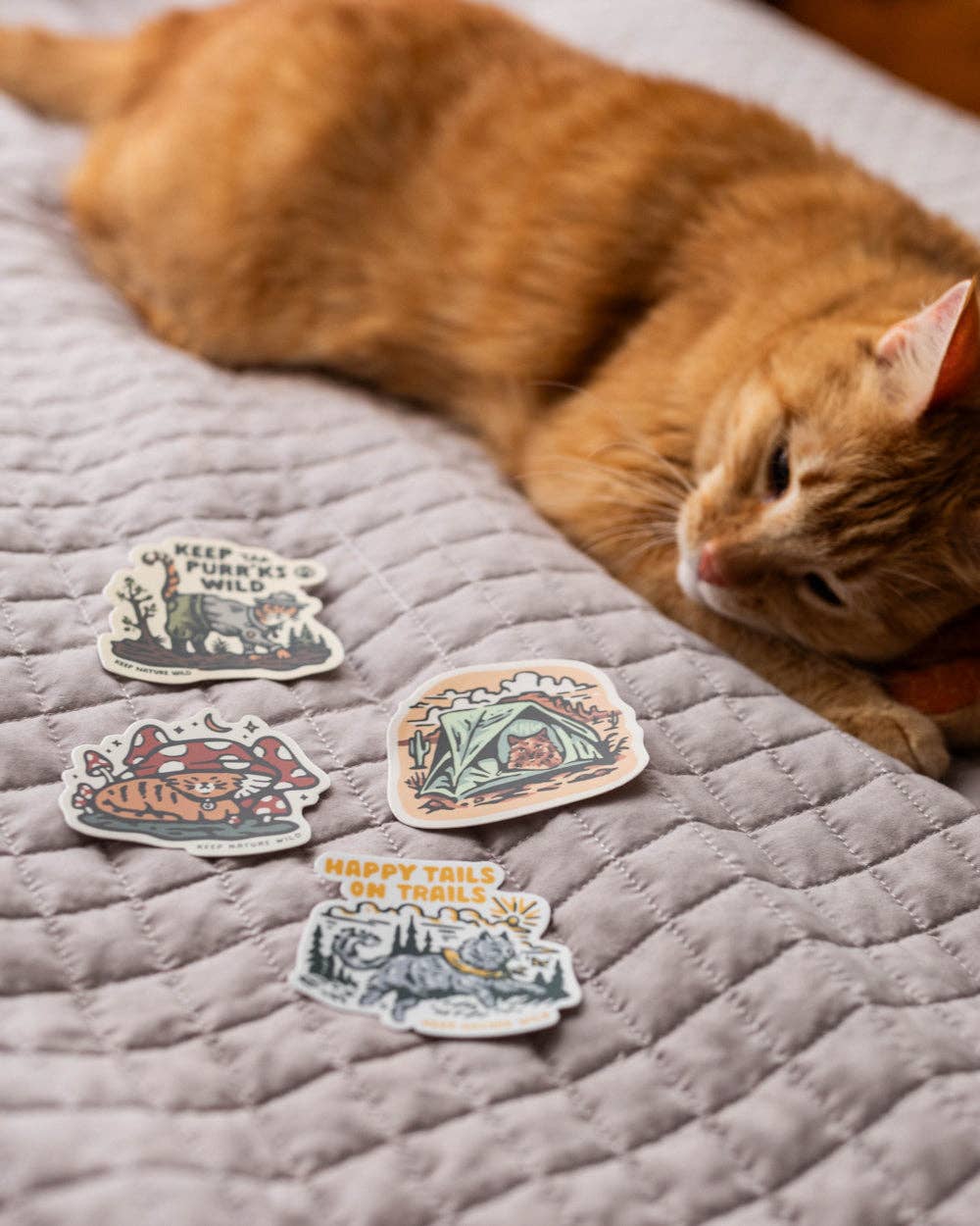Happy Tails on Trails Cat Sticker
