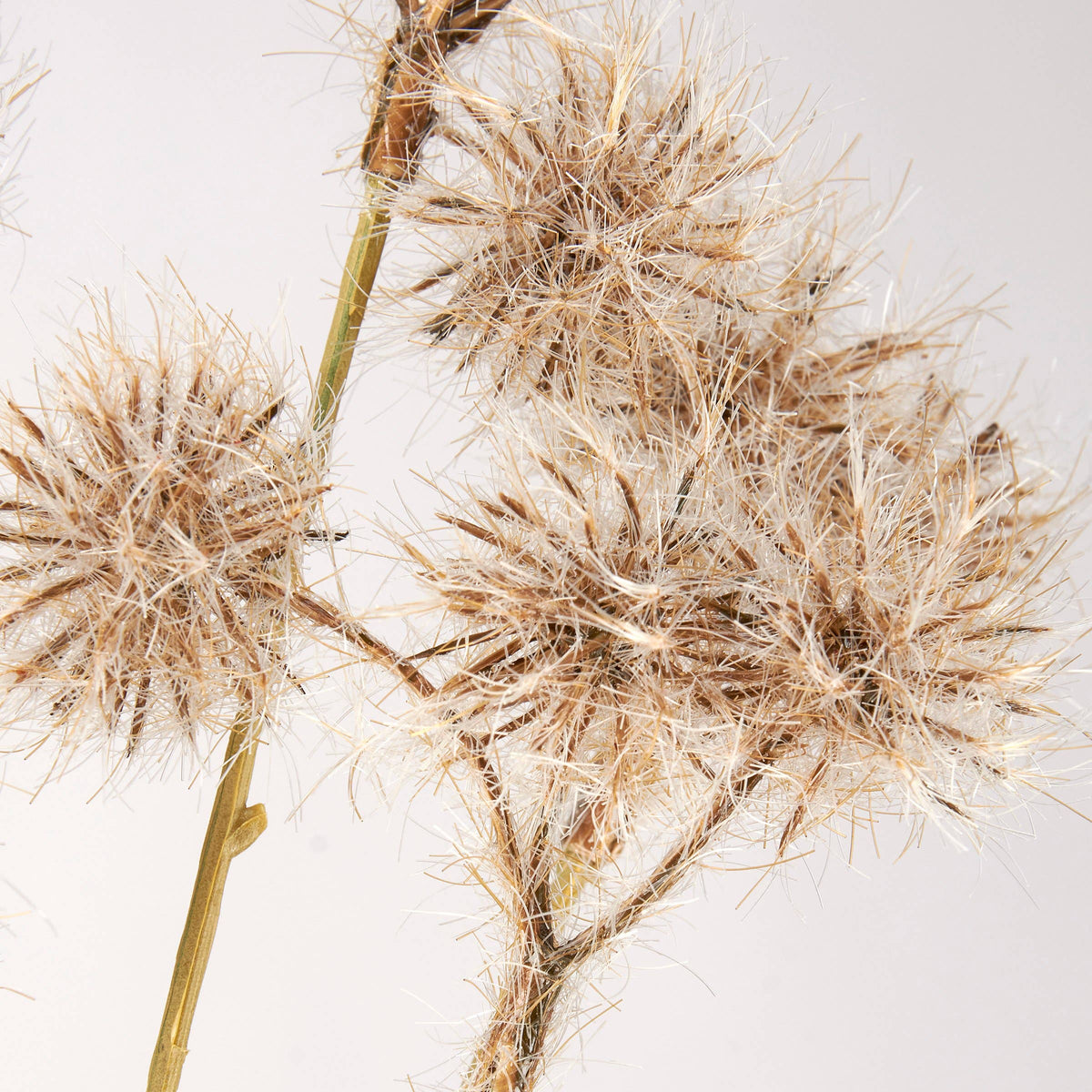 Black Allium Floral Pick