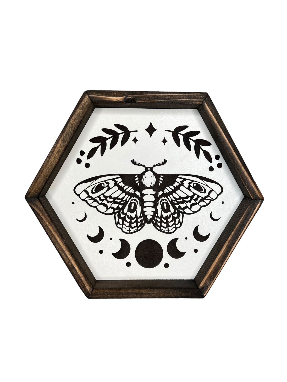 8" Moth Hexagon