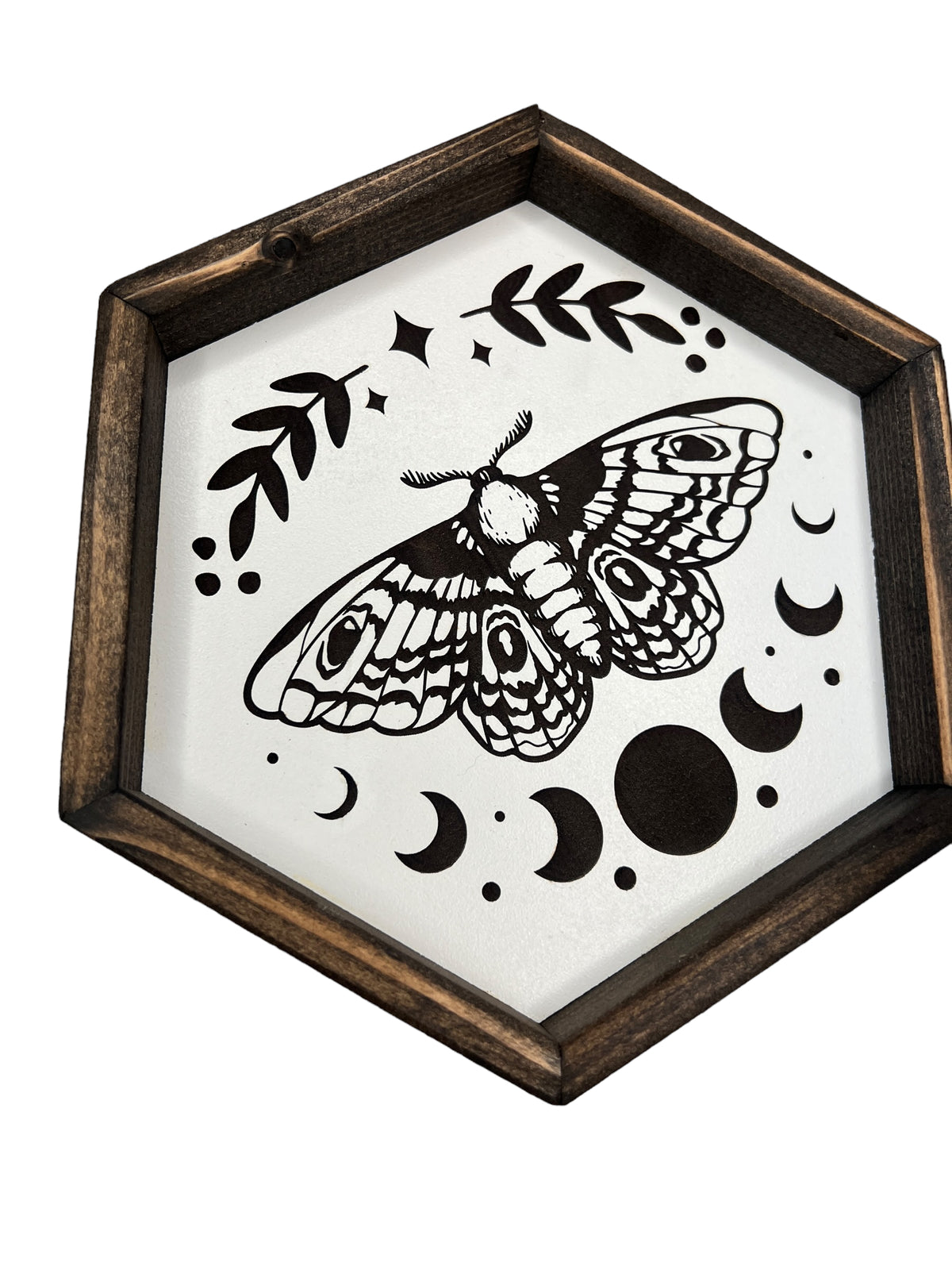 8" Moth Hexagon