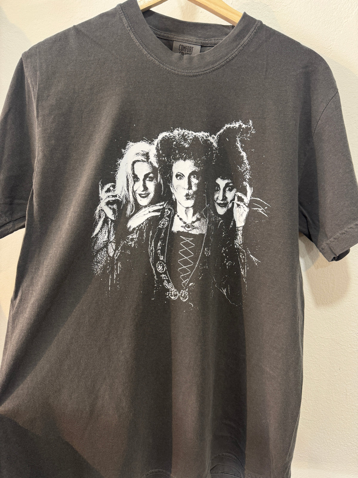 Hocus Pocus Sisters Silhouette TShirt- Pepper