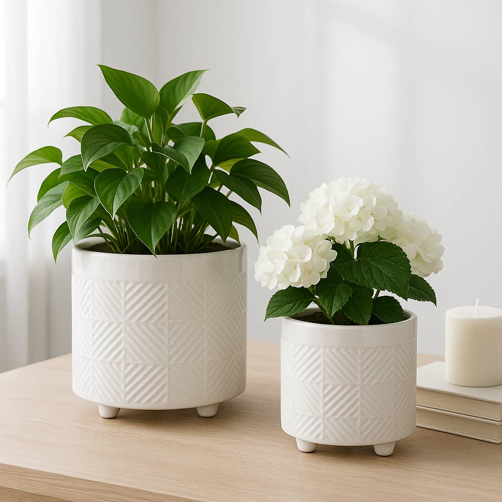 8" White Ceramic Planter Pot
