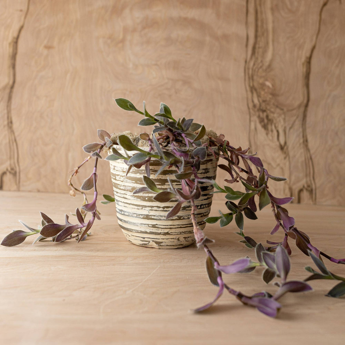 Gideon Distressed Ribbed Garden Planter Pot Cream Terracotta